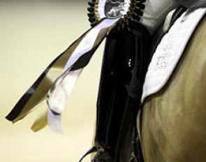 CDI Maastricht ribbon