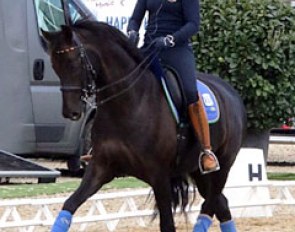 Young rider Jessica Krieg on Special Edition