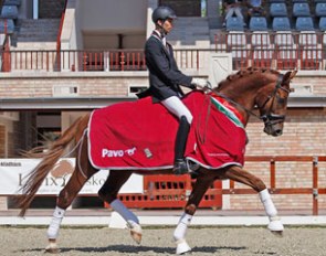 Barnabas Gemes on the 4-year old Hungarian sport horse Jamiroquai at the 2016 Hungarian Young Horse Championships :: Photo © Anett Somogyvari