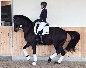 Henri Ruoste and Simply Nymphenburg at Gut Bertingloh in Menden, Germany