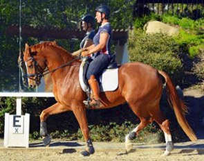 Amelie Kovac on the 5-year old KWPN gelding Toretto (by Apache x Tango x Fair Play)