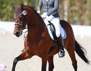 Irina Zhogina on Ithaka