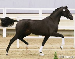 Apache x Houston x Glennridge :: Photo © LL-foto