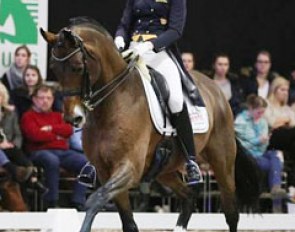 Kristin Biermann left her 2015 European Young Rider Championship horse Zwetcher at home and competed Fanfani in Munster