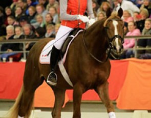 The barely 4-year-old Westfalian stallion Firlefranz left the arena calmer than he entered it