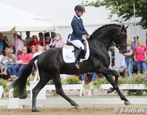 Eva Möller and Revenant at the 2016 Westfalian Young Horse Championships :: Photo © LL-foto