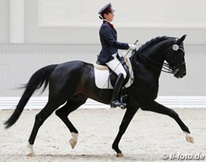 Stephanie Fiedler and Quadroneur at the Brandenburg state stud in Neustadt/Dosse last June :: Photo © LL-foto