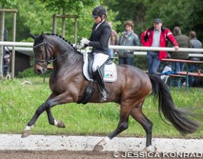 Dorothee Schneider and First Impression at the 2016 Nussloch Bundeschampionate qualifier :: Photo © Jessica Konrad
