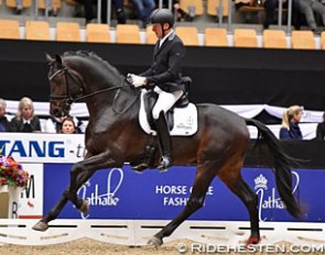 Jan Moller Christensen and Romeo (by Romanov x Wolkentanz) at the 2016 Danish Young Horse Championships in Odense :: Photo © Ridehesten
