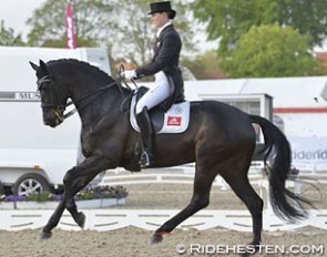 Carina Nevermann Torup on Grevens Sa Va at the 2016 CDIO Odense :: Photo © Ridehesten