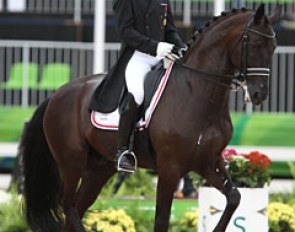 Anders Dahl's Selten HW is in his first year at Grand Prix and made it to the Special at the Olympic Games