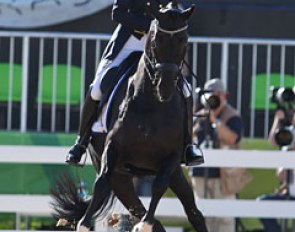 Don Gregorius spooked from the flags suddenly fluttering in the wind at the Deodoro main equestrian stadium