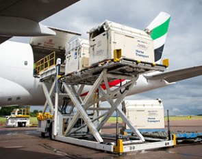 Horses bound for the Rio 2016 Olympic games are loaded onto an Emirates SkyCargo Being 777-F at London Stansted Airport. On the flight were 34 horses from 10 of the nations competing in Equestrian at Rio 2016 :: Photo © Jon Stroud