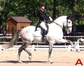 Is this a correct extended trot?