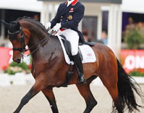 Michael Eilberg and Woodlander Dornroschen at the 2016 CDIO Rotterdam :: Photo © Astrid Appels