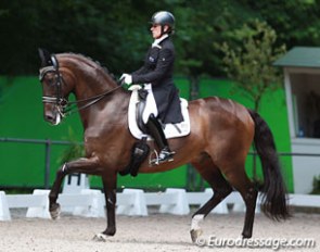Sue Hearn on Remmington