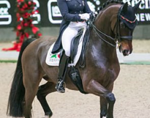 Dorothee Schneider and Showtime returned back to the ring for the first time since Rio and won the World Cup Qualifier in Salzburg :: Photo © Thomas Holbecher