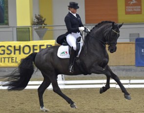Dorothee Schneider and St. Emilion at the 2016 CDI Stadl Paura :: Photo © Rainer Dill