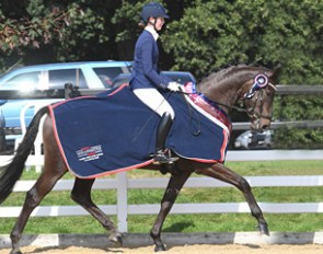 Bryony Goodwin and Hawtins San Floriana at the 2016 British Young Horse Championships :: Photo © Kevin Sparrow