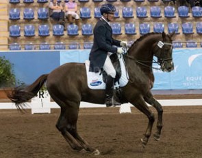 Heath Ryan and Utopian Cardinal at the 2016 CDI-W Sydney :: Photo © Franz Venhaus