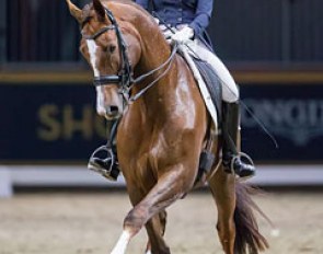 Brittany Fraser and All In at the 2016 CDN Toronto Royal Winter Fair :: Photo © Ben Radvanyi