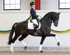 Ida-Linn Lundholm on the Dutch warmblood Eclectisch (by Zenon x Olivi) :: Photo © Tullstorp