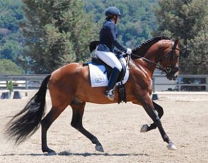 Katie Hoefs-Martin on Corsario MN, National Level Grand Champion in the 2016 USPRE California High Point Series