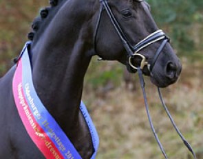 Morricone wins the 2016 Oldenburg Main Premium :: Photo © LL-foto
