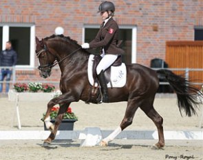Luna Laabs and Carlos at the 2016 Preis der Besten Qualifier in Vechta, Germany :: Photo © Pony Royal