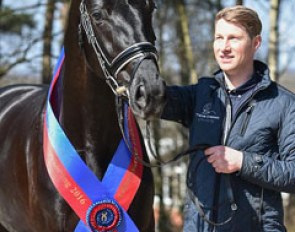 David Taylor with Zodiakus, the 2016 Oldenburg Saddle Licensing Champion :: Photo © Kiki Beelitz