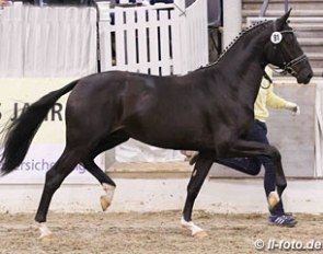 Quantensprung x Fidertanz