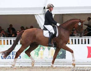 Fritzie Röder and Federball (aka Firefox) at the 2016 Hanoverian Young Horse Championships in Verden :: Photo © LL-foto