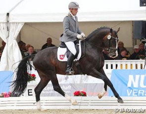 Wolfhard Witte and Emilio at the 2016 Hanoverian Young Horse Championships in Verden :: Photo © LL-foto