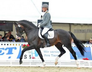 Emilio Sanchez at the 2016 Hanoverian Young Horse Championships in Verden