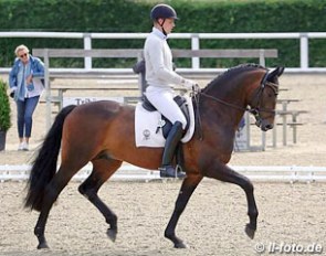 Frederic Wandres and Sir Skyfall at the first German 2016 WCYH Selection Trial in Warendorf :: Photo © LL-foto