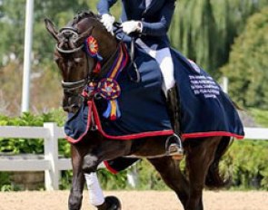 Endel Ots and Lucky Strike win the 6-year old division at the 2016 U.S. Young Horse Championships :: Photo © Sue Stickle