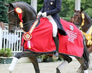 Cesar Parra and Fashion Designer are the reserve champions in the 2016 U.S. Developing PSG Horse Championships :: Photo © Sue Stickle