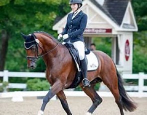 Justine Wilson and Hero BHS at the 2016 U.S. Young Horse Championships :: Photo © Sue Stickle