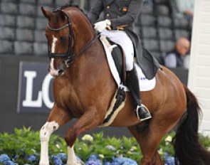 Agusti Elias on Eddieni (by Johnson x Negro)