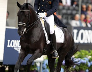 Tom Heylen on Jar of Ballmore (by Gribaldi x Sunny Boy)