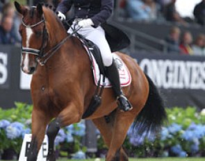 Mette Hoermann Iverseon on Elmegaardens Rivaldo (by Rush Hour x Resident)