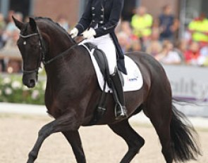 Kyra Klinkers on Equirelle W (by Florett As x Donnerhall)