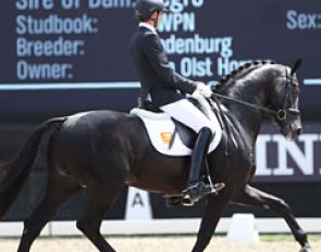 Benjamin Maljaars on Glamourdale