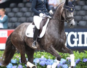 Swedish based Finnish rider Yvonne Osterholm on Fiera Girl at the 2016 World Young Horse Championships :: Photo © Astrid Appels