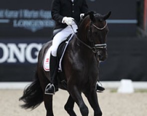 Morten Kappel Petersen has bred, raised, trained, competed and owns Kamar's Don Noir Hit