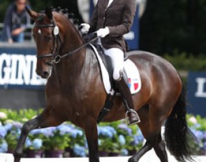 Anne Sophie Serre on the purebred Lusitano Actuelle de Massa (by Pastor)
