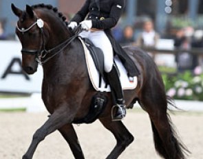 Alexandra Sessler on Dieu d'Amour (by Dimaggio x Rotspon)