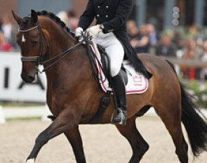 Michael Sogaard on Slaebaekgaard's Santino (by Sir Donnerhall x Carano)