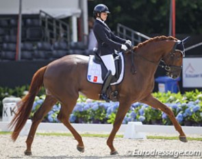 Lena Thouvenin and Diamondgio at the 2016 World Young Horse Championships in Ermelo :: Photo © Astrid Appels