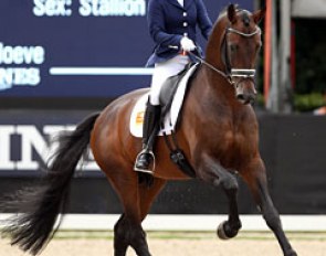 Mirelle van Kemenade on Ferdinand (by Vivaldi x Havidoff). What a horse ! Uphill in trot and canter in every single stride. He still leans too much on the rider and there were too many issues in the test to score higher